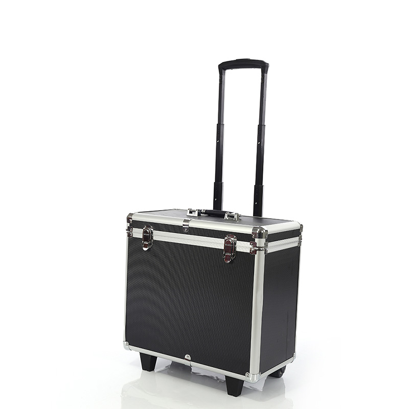 2025 latest 2-in-1 Thermiva fractional RF machine is used for private skin rejuvenation, private care and tightening repair