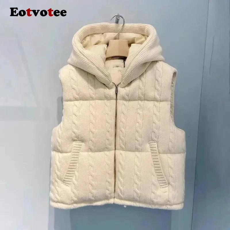 EOTVOTEE Jacket Vest Parkas for Women Hooded Sleeveless Chic Casual Zipper Coat Autumn Winter Fashion Solid Female Thermal Vests 251021