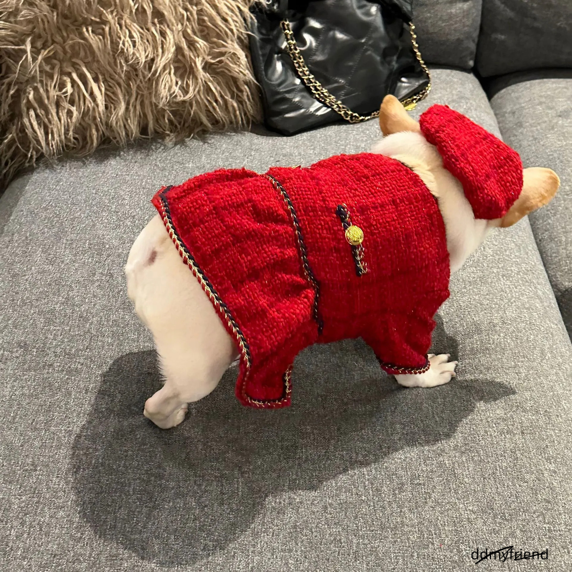 Tweed Princess Dog Dress - Cute Pet Clothes Outfit For Small Dogs, Puppies, Cats, Teacup Yorkie, Chihuahua XL Ddmyfriend