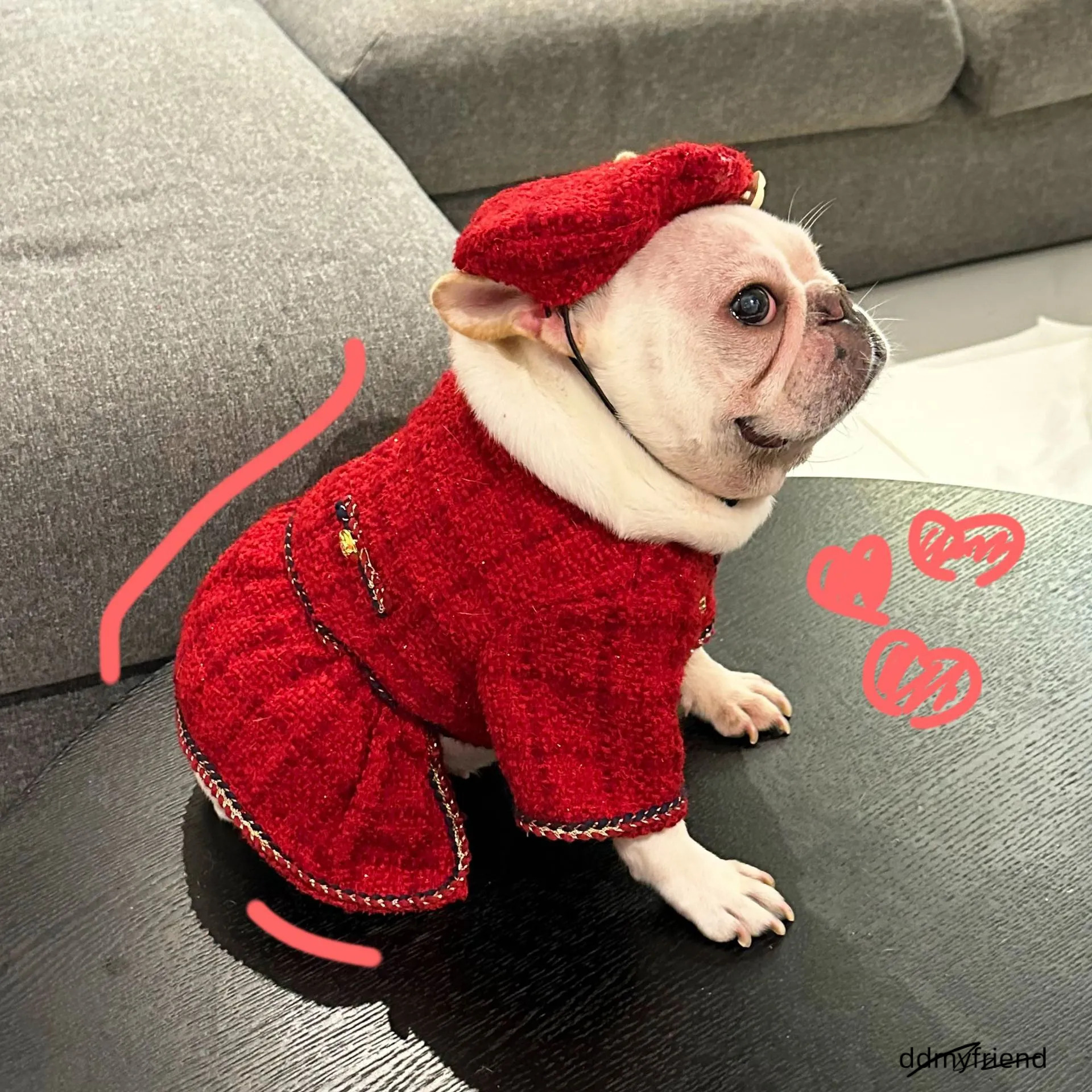 Tweed Princess Dog Dress - Cute Pet Clothes Outfit For Small Dogs, Puppies, Cats, Teacup Yorkie, Chihuahua XL Ddmyfriend