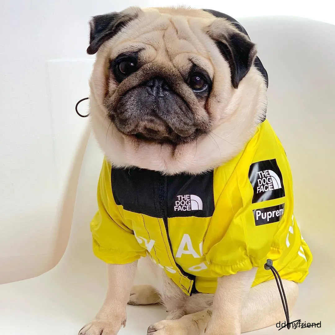 Waterproof Dog Raincoat With Adjustable Hood Tail Drawstring - Outdoor Rain Jacket For Small, Medium, And Large Dogs Ddmyfriend