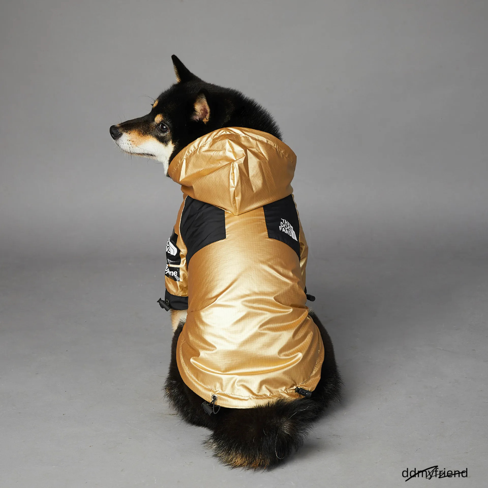 XXS Jacket For Small Breeds - Golden Windproof & Waterproof With Leash Opening, Ideal Medium Dog Jacket, Winter Warm Dachshund Coat Ddmyfriend