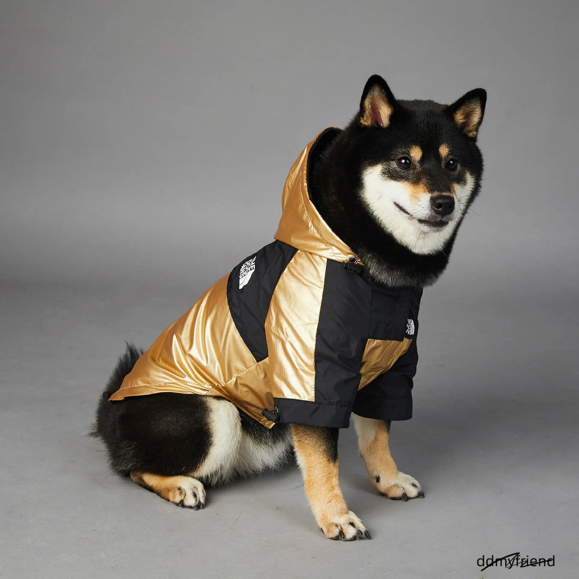 XXS Jacket For Small Breeds - Golden Windproof & Waterproof With Leash Opening, Ideal Medium Dog Jacket, Winter Warm Dachshund Coat Ddmyfriend
