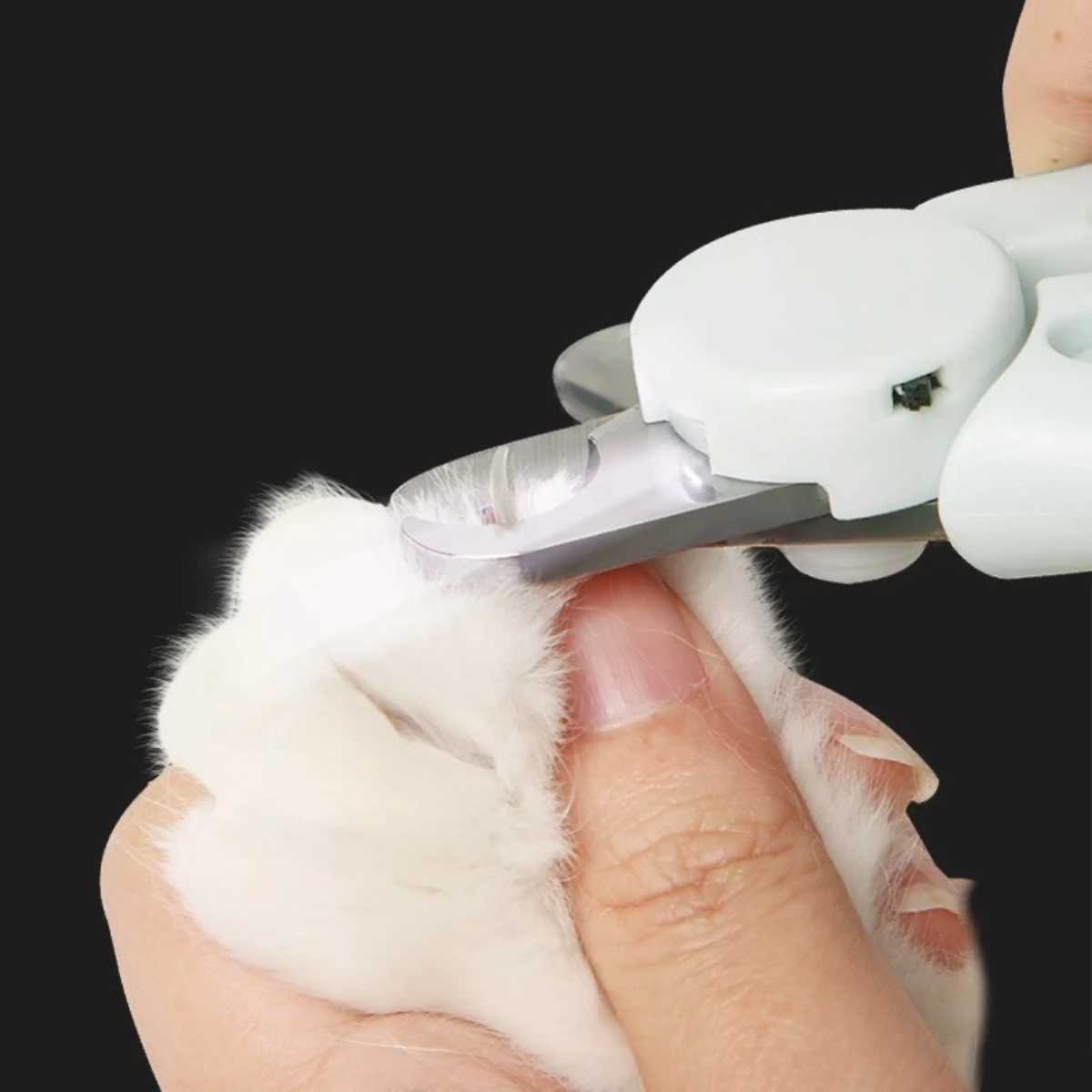 1Pc Pets Double Hole Round Mouth Nail Scissors with Led Light Multifunctional Pet Cats Dogs Nail Scissors Blood Line Prevention Z20251024