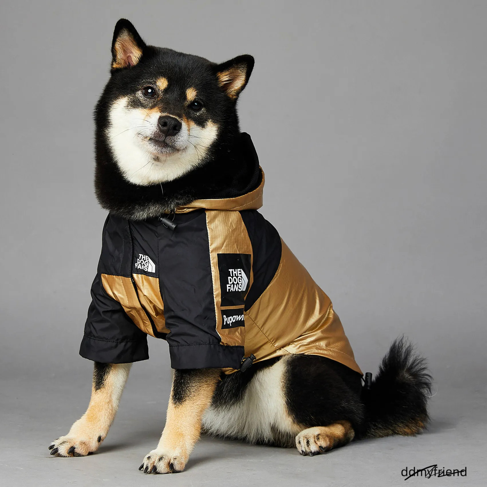 XXS Jacket For Small Breeds - Golden Windproof & Waterproof With Leash Opening, Ideal Medium Dog Jacket, Winter Warm Dachshund Coat Ddmyfriend