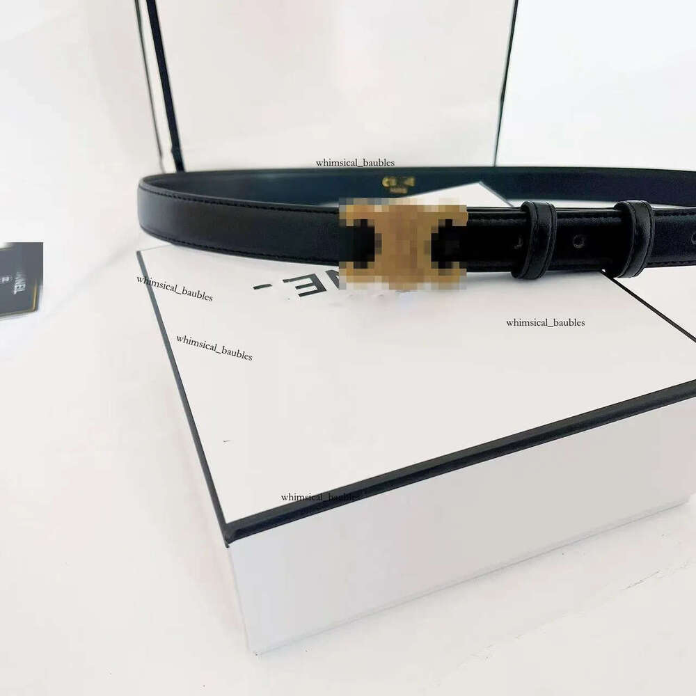 ce belt Women Belts Designer Belt Leather belts Fashion Needle Buckle Cowskin Silver Golden Belts High Quality Waistband Classic celinebelt 1bf