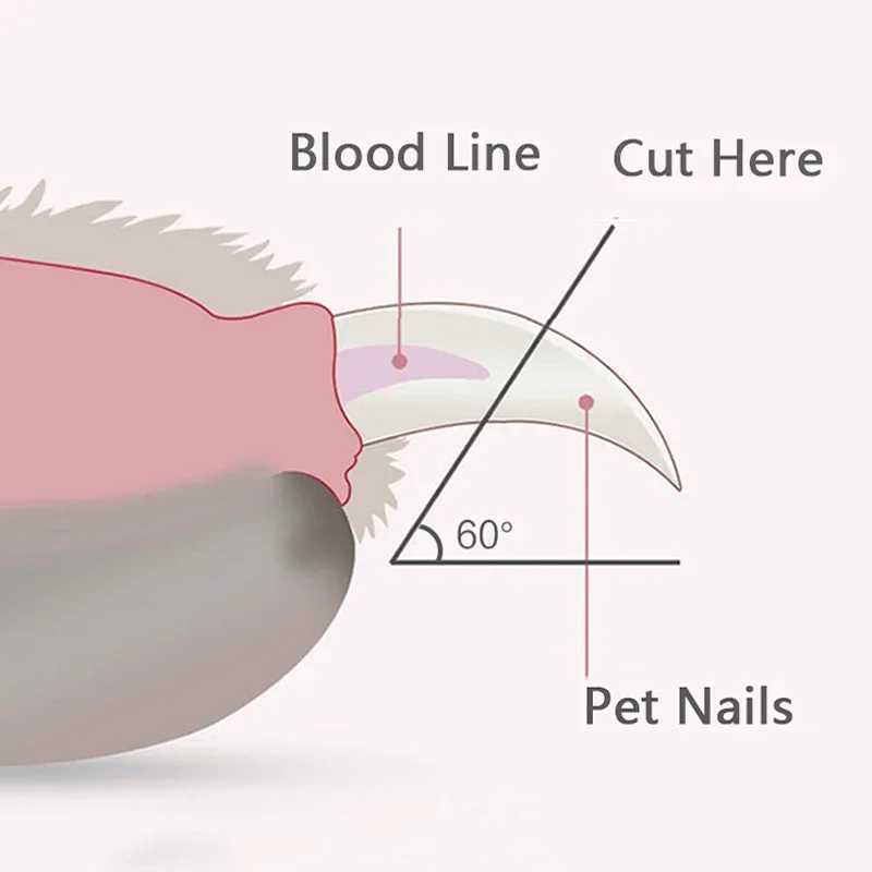 Professional Pet Nail Clippers with Led Light Pet Claw Grooming Scissors for Dogs Cats Small Animals Paw Nail Trimmer Pet Supply Z202510241