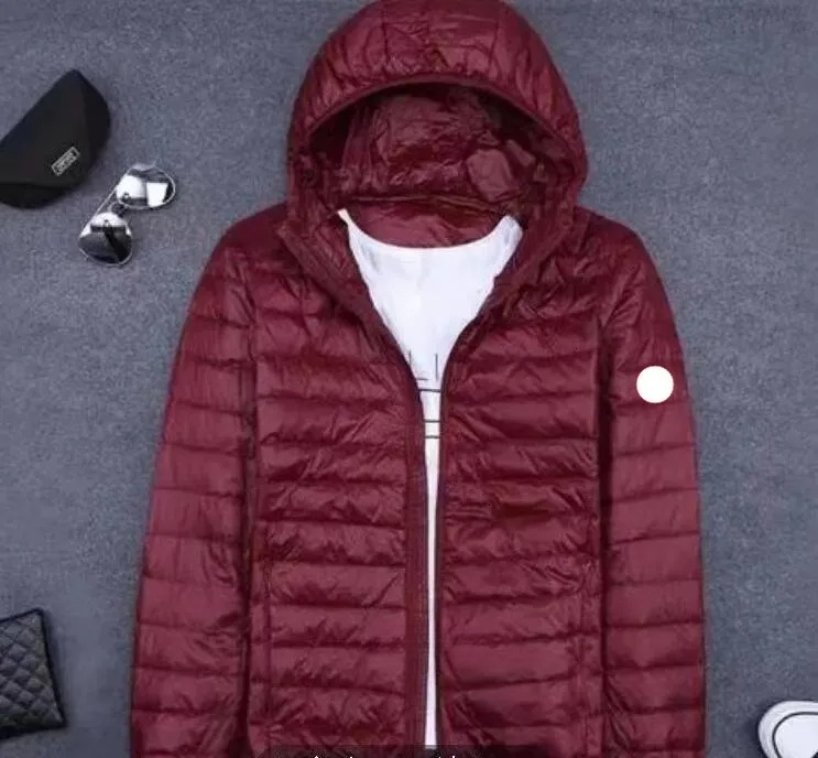 High Quality Goose Jacket Mens Parka White Duck Down Jacket Goosecoats Winter Outwear Womens Parka Ladys Coat With Badge S-4xl Top Quality Canadas Jac