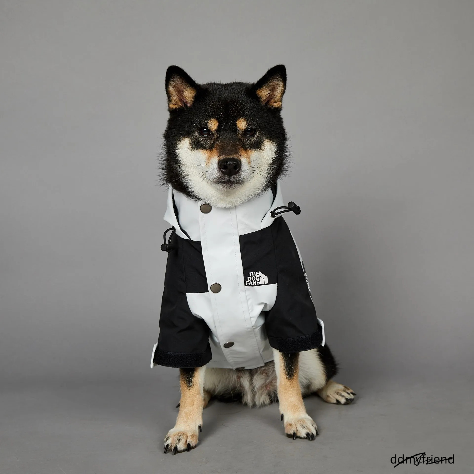 Autumn Winter Coat, Waterproof Dog With Leash Hole, Windproof Warm Outdoor Jacket Adjustable Hood Zipper Closure For Small To Large Dogs White XXXL A3