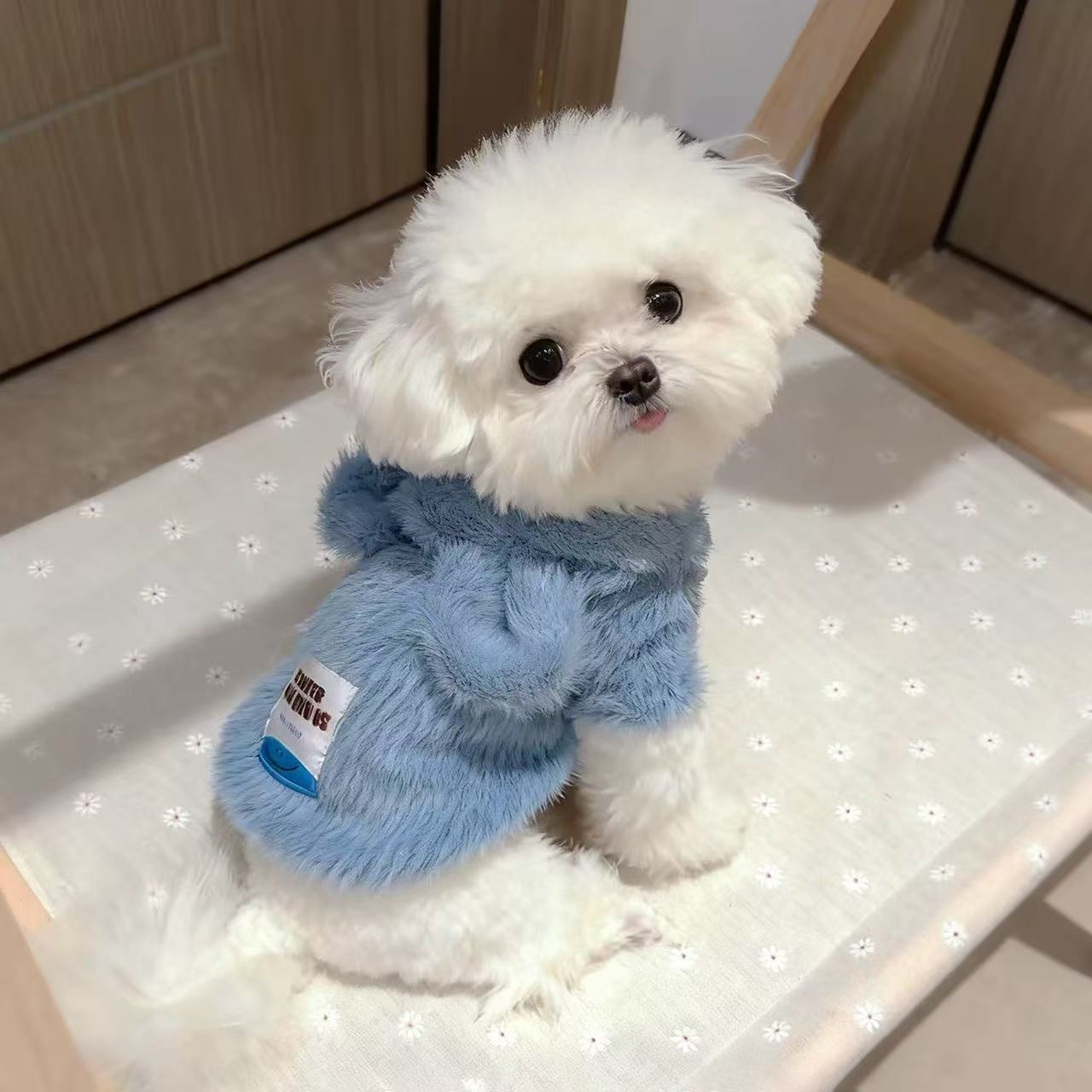 T1819 dog clothes autumn and winter home pajamas Bichon Maltese