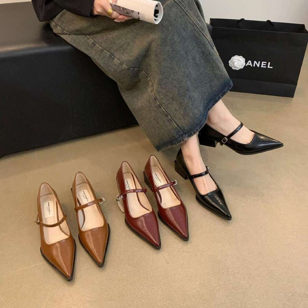 French Pointed Designer Shoe Toe Chunky Heel Mary Jane 2025 New Autumn Winter Shallow Gentle Evening Style Single Shoes Fairy Loafers