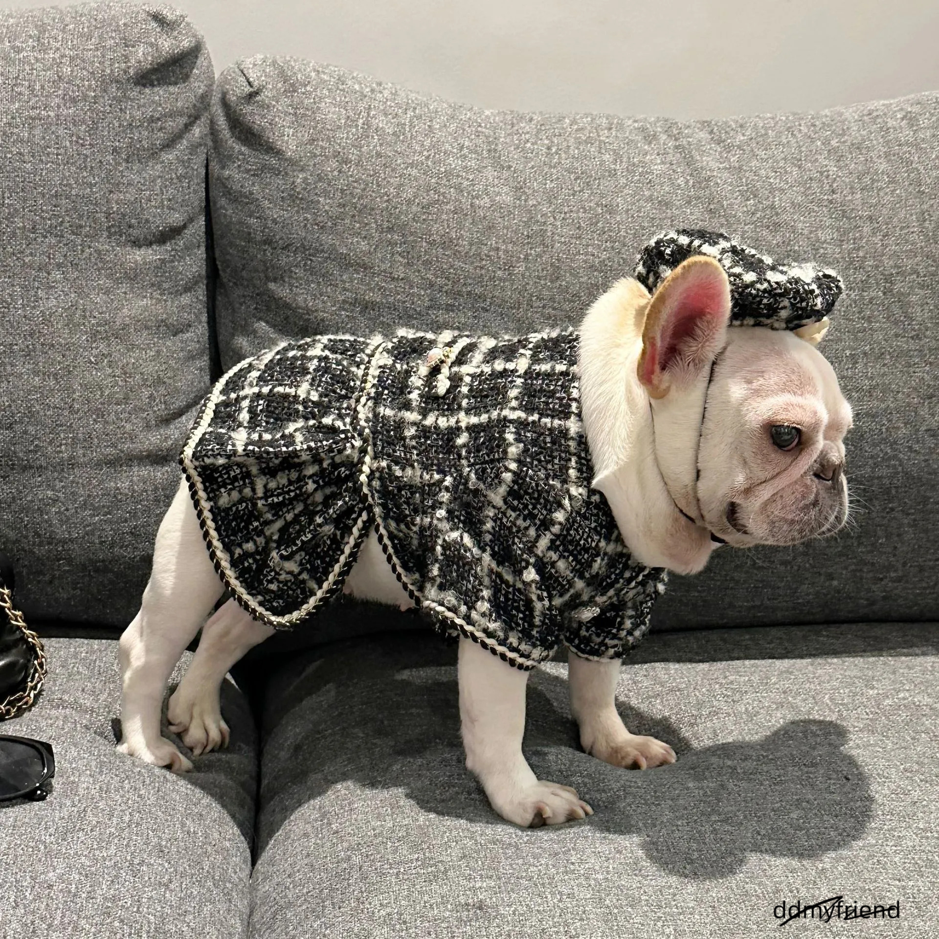 Tweed Princess Dog Dress - Cute Pet Clothes Outfit For Small Dogs, Puppies, Cats, Teacup Yorkie, Chihuahua XL Ddmyfriend
