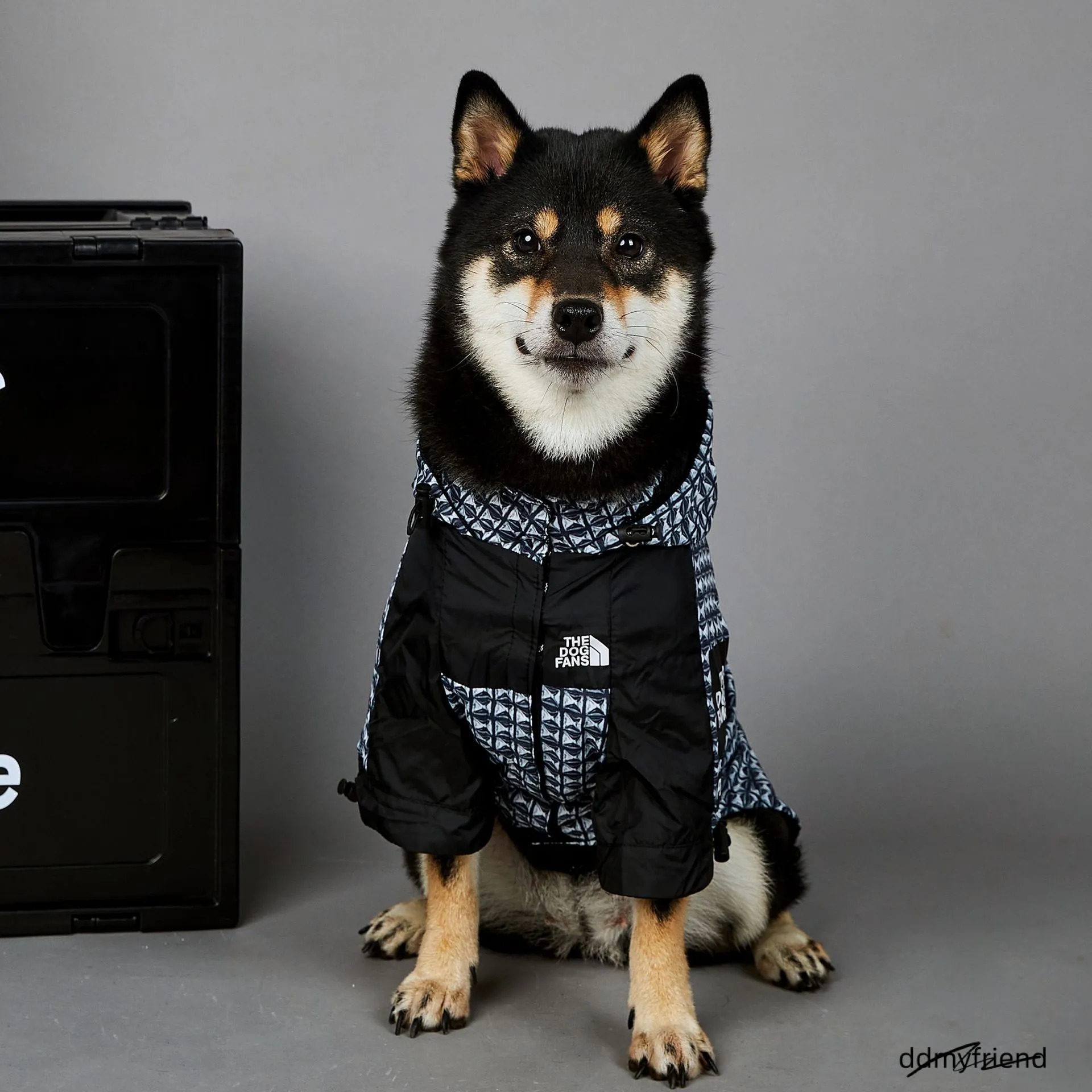 Coat Waterproof Dog Warm Autumn Winter Jacket Windproof Puppy Coats With Adjustable Hood, Leash Hole, Pet Outdoor Clothes For Small Medium Large Dogs 