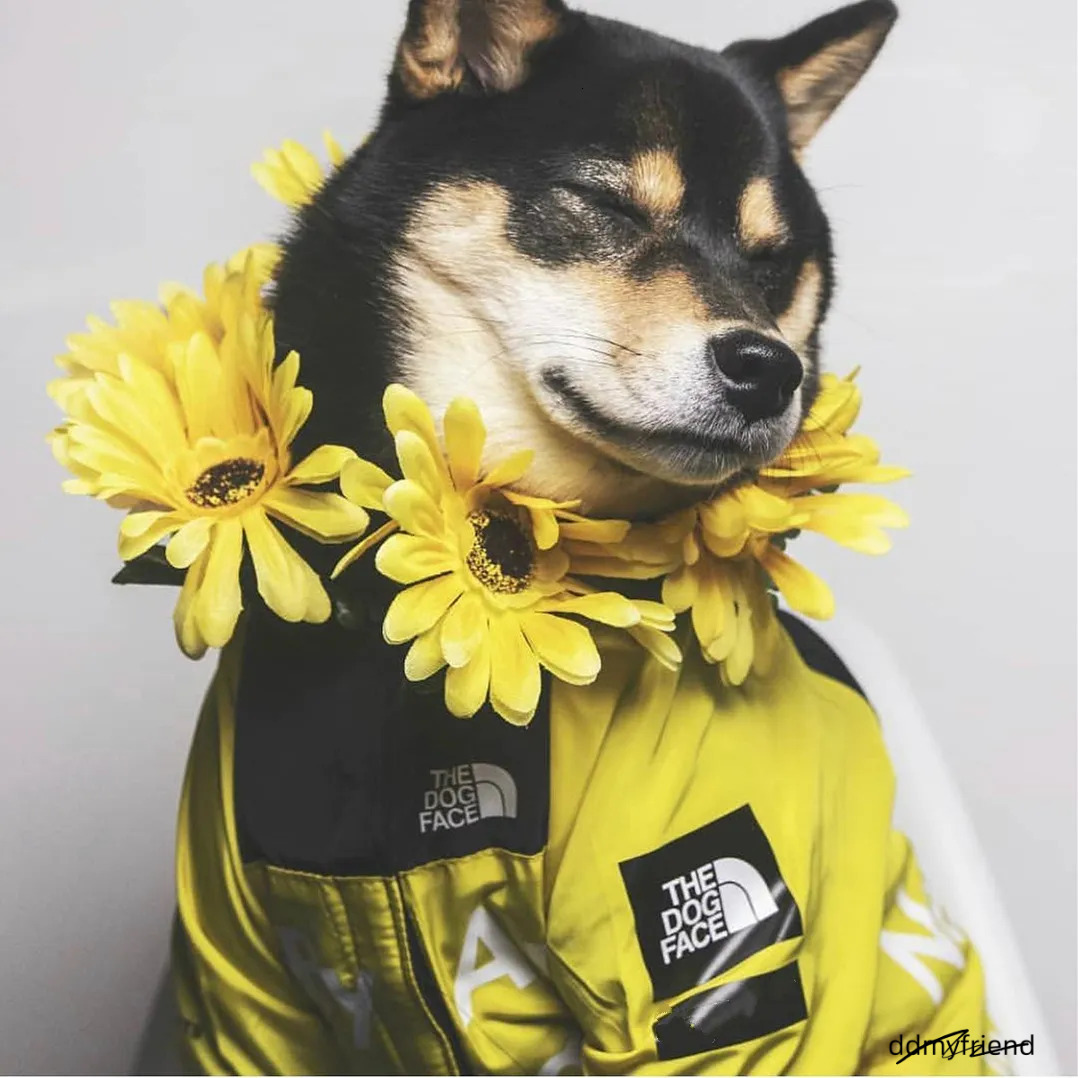 Waterproof Dog Raincoat With Adjustable Hood Tail Drawstring - Outdoor Rain Jacket For Small, Medium, And Large Dogs Ddmyfriend