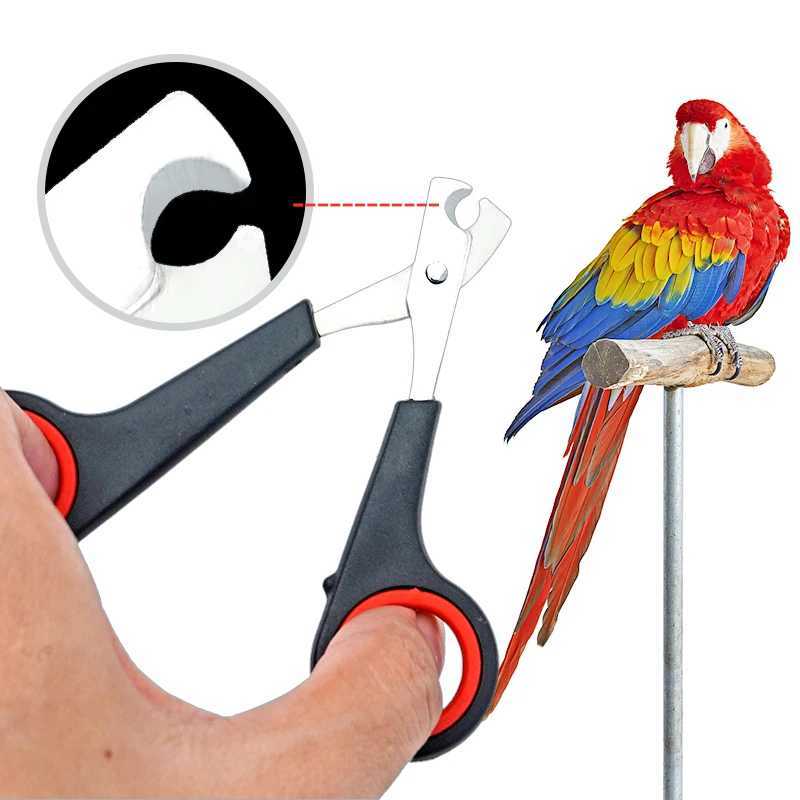 Pet Nail Clippers Cutter Parrot Nail Trimmer Scissors for Dogs Cats Birds Guinea Pig Animal Claws Paw Cutter Bird Parrot Shear Z20251024