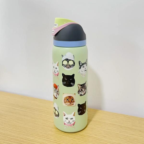 DHL 24OZ 32OZ Insulated Stainless Steel Water Bottles with Straw BPA-Free Sports Outdoor Drinking Tumblers Travel Car Mugs