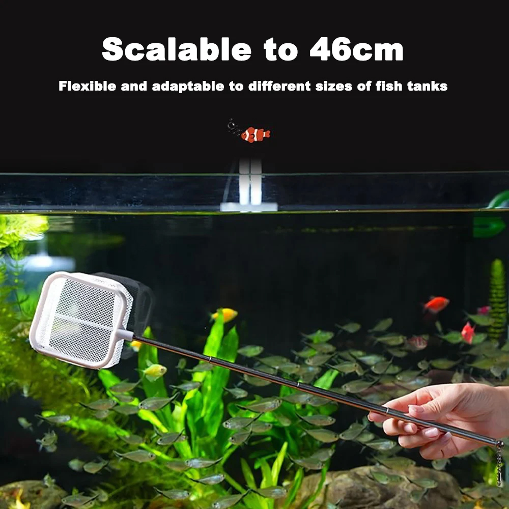 Fishing Landing Net Rustproof Corrosion Resistant Stainless Steel Fishing Net For Catchin Fish Shrimp Tank Aquarium Accessories 3D fish scoop net
