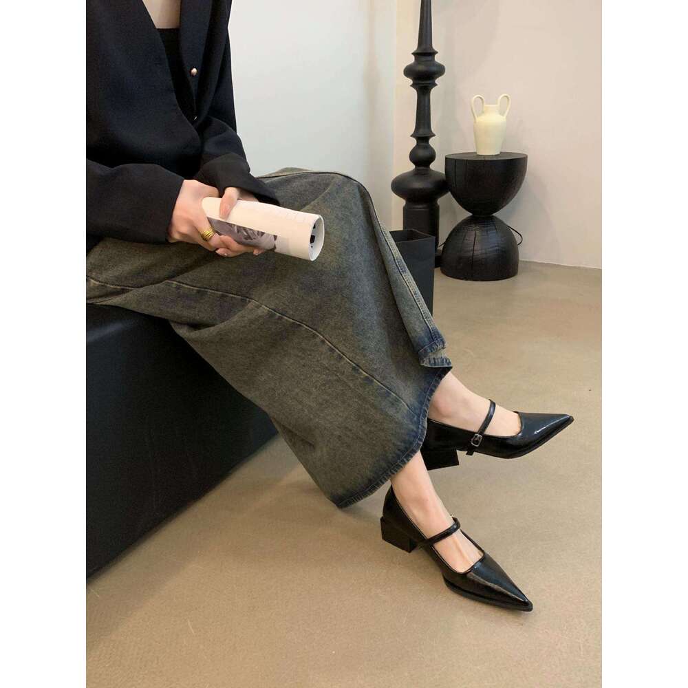 French Pointed Designer Shoe Toe Chunky Heel Mary Jane 2025 New Autumn Winter Shallow Gentle Evening Style Single Shoes Fairy Loafers