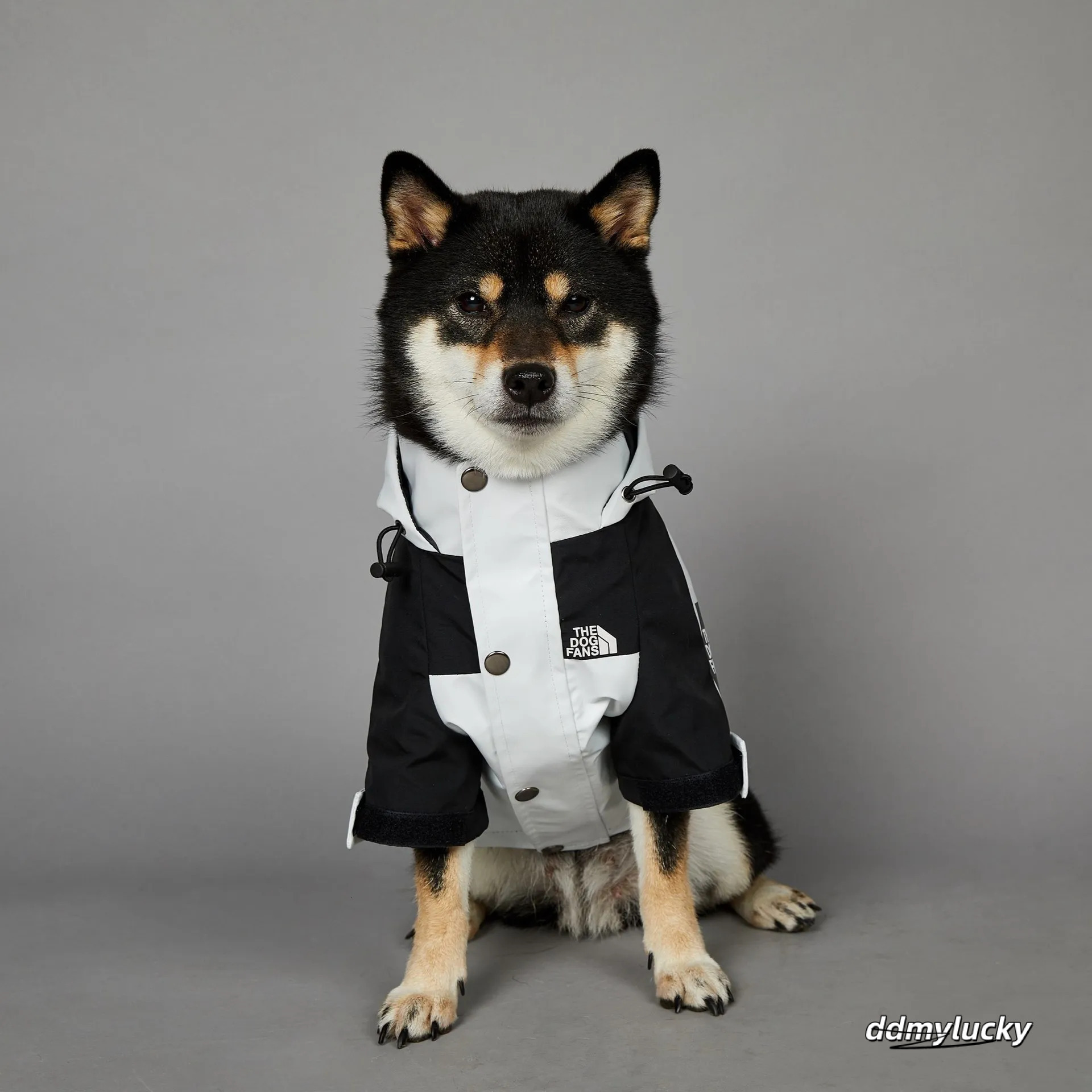 Autumn Winter Coat, Waterproof Dog With Leash Hole, Windproof Warm Outdoor Jacket Adjustable Hood Zipper Closure For Small To Large Dogs White XXXL A3