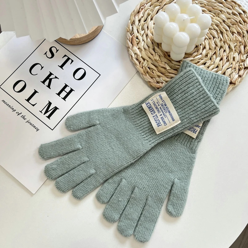Winter Women Knitted Gloves Autumn Hand Warmer Thicken Lining Full Fingered Mittens Skiing Solid Color Gloves For Women 251023