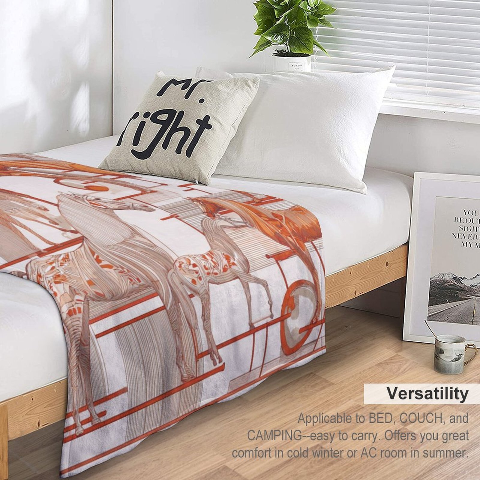 H Designer Horse blanket blanket throw cashmere vibration blanket copert Home Travel Throw Summer Air Conditioner Beach home bedding blankets throws H