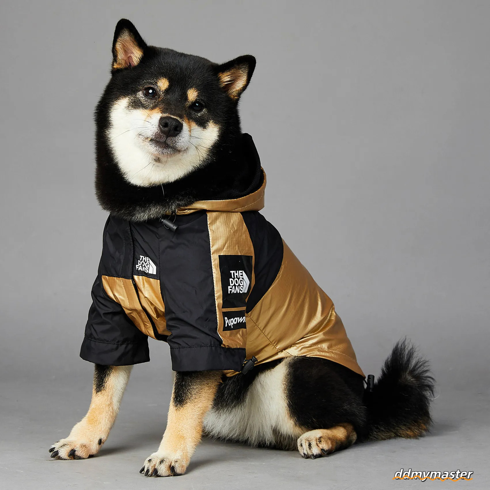 XXS Jacket For Small Breeds - Golden Windproof & Waterproof With Leash Opening, Ideal Medium Dog Jacket, Winter Warm Dachshund Coat Ddmymaster