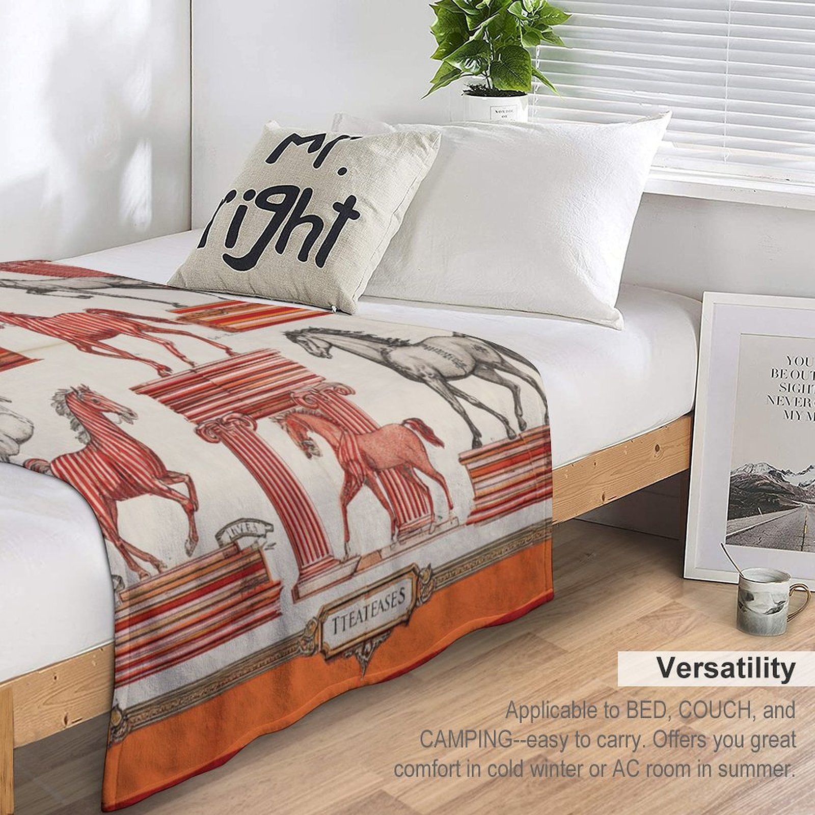 H Designer Horse blanket blanket throw cashmere vibration blanket copert Home Travel Throw Summer Air Conditioner Beach home bedding blankets throws H