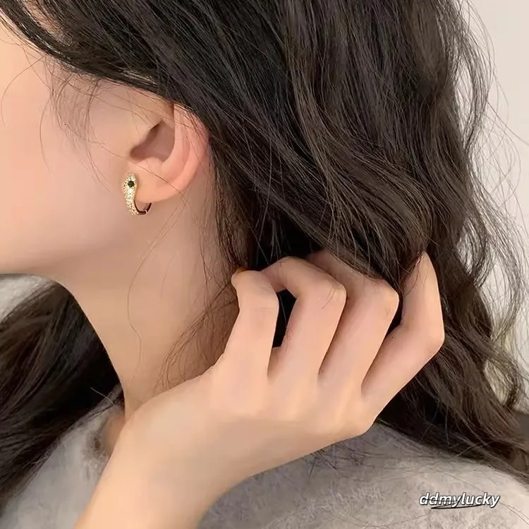 S Sterling Sier Serpentine Earrings For Women - Fashion Micro Zircon Inlaid Bright Hip Hop Style Ddmylucky