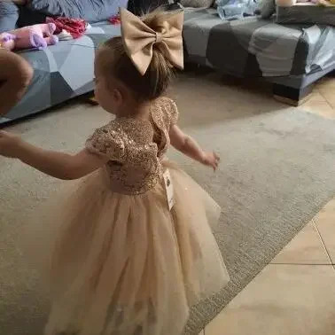 Toddler Girls 1st Birthday Christening Party Dresses Cute Bow Kids Princess Embroidery Backless Flower Girls Dresses for Wedding 251023