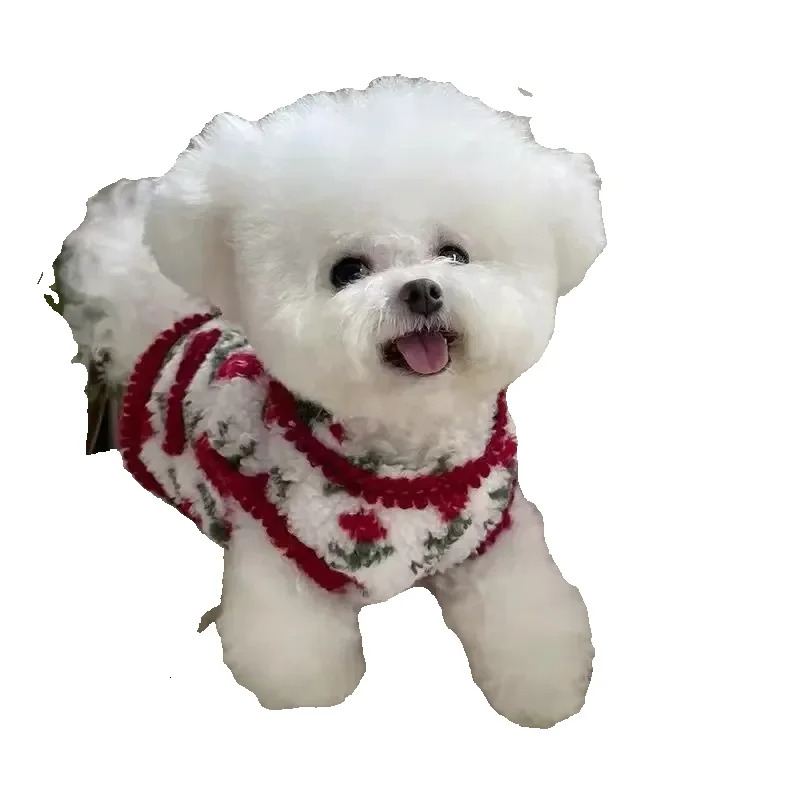 2025 new T00249 Pet clothes spring, autumn thin Korean style flower suspender skirt jacquard embroidery summer sweet and bright