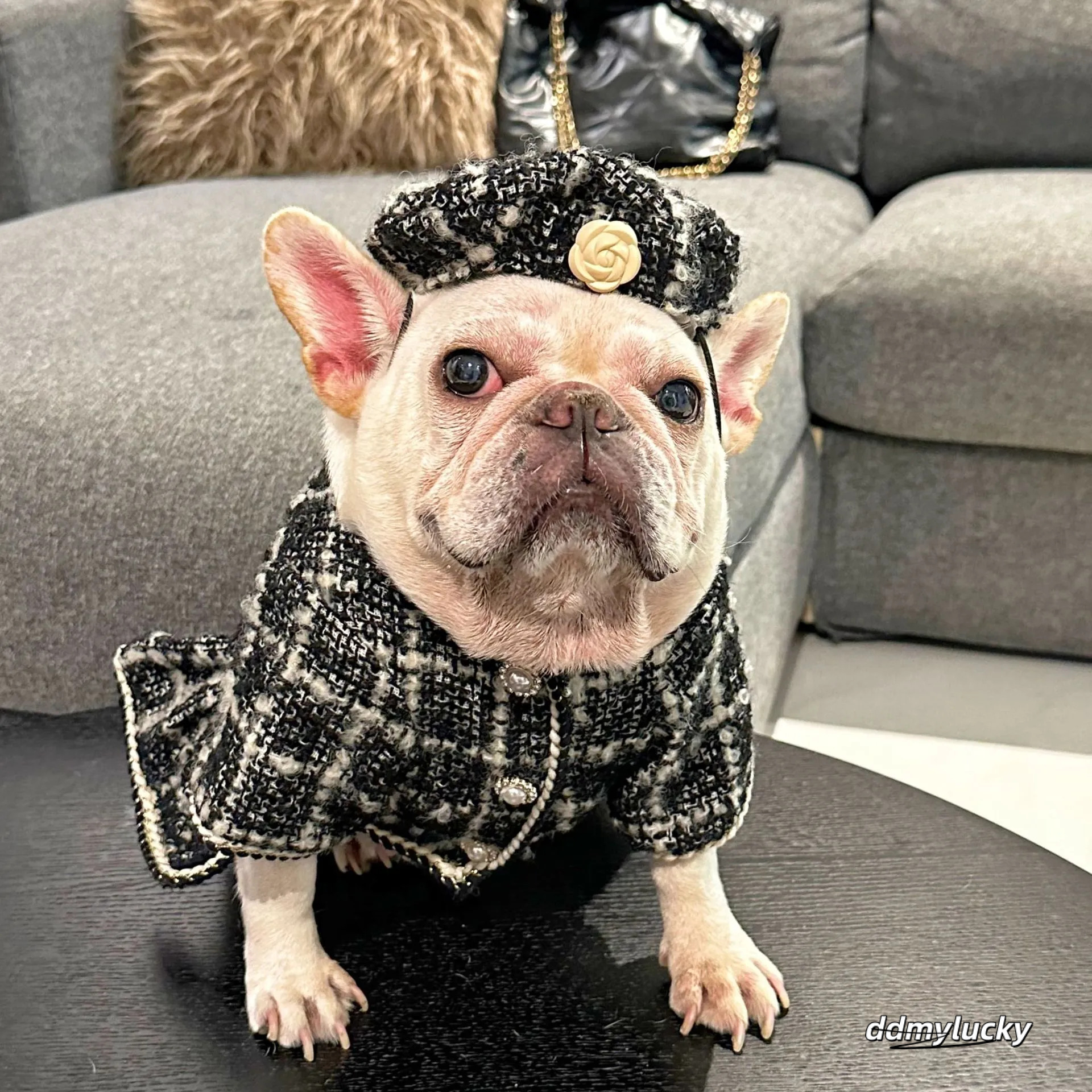 Tweed Princess Dog Dress - Cute Pet Clothes Outfit For Small Dogs, Puppies, Cats, Teacup Yorkie, Chihuahua XL Ddmylucky