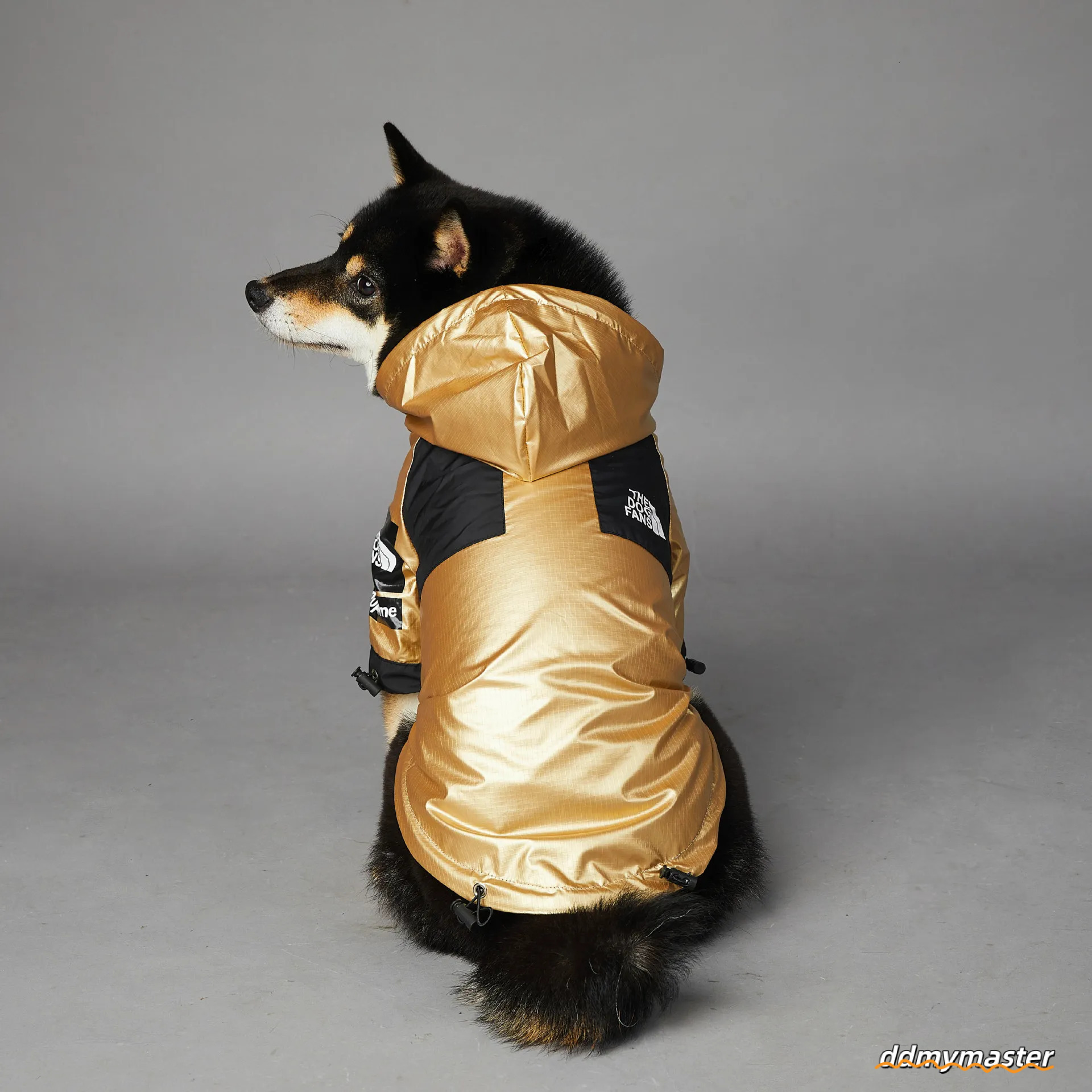 XXS Jacket For Small Breeds - Golden Windproof & Waterproof With Leash Opening, Ideal Medium Dog Jacket, Winter Warm Dachshund Coat Ddmymaster
