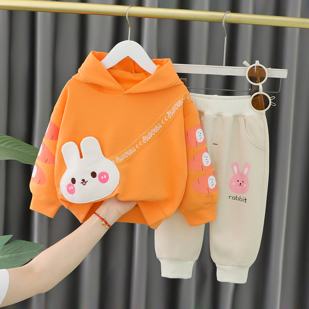 Free Shipping 2025 New Carrot Bunny Print Hooded Set, 2-Piece Fall Outfit for Girls Ages 1-5 | Cute Toddler Clothes with Hoodie
