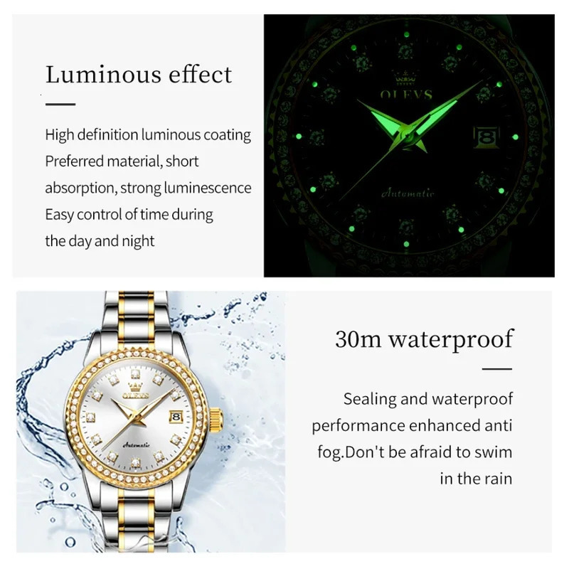 Olevs 7003 mechanical fashion watch stainless steel watchband rounddial wristwatch calendar luminous woman Watch Automatic 251021