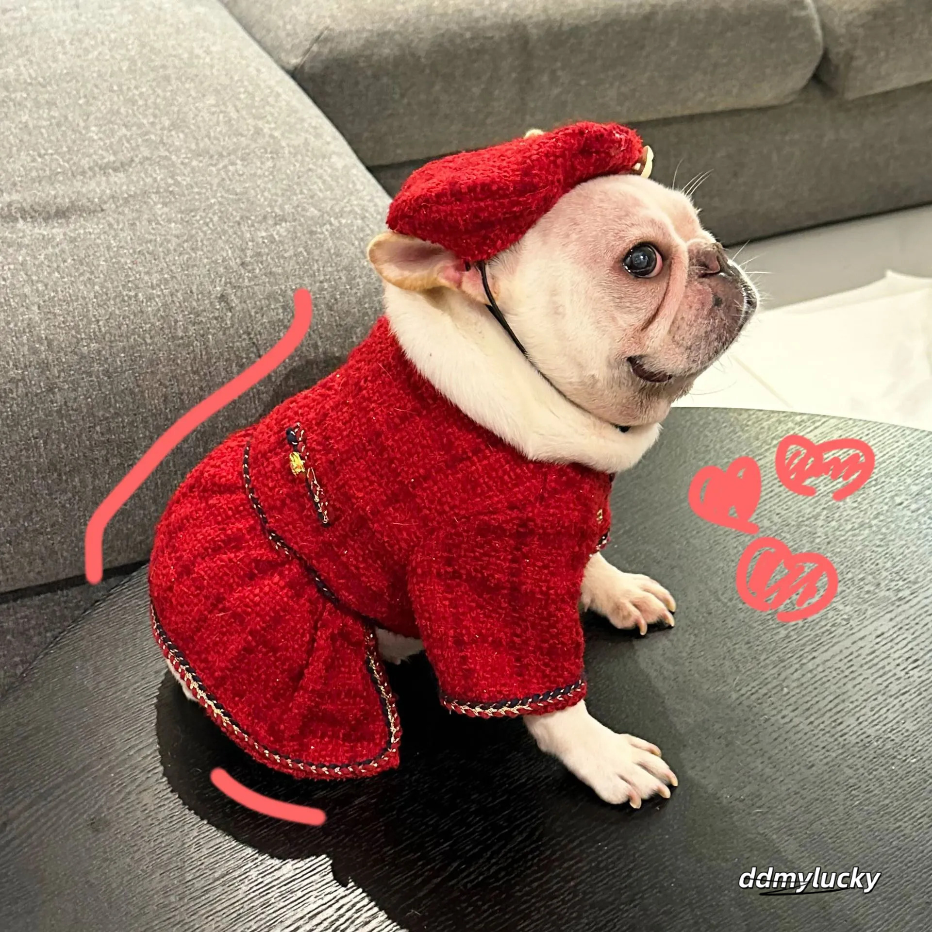 Tweed Princess Dog Dress - Cute Pet Clothes Outfit For Small Dogs, Puppies, Cats, Teacup Yorkie, Chihuahua XL Ddmylucky