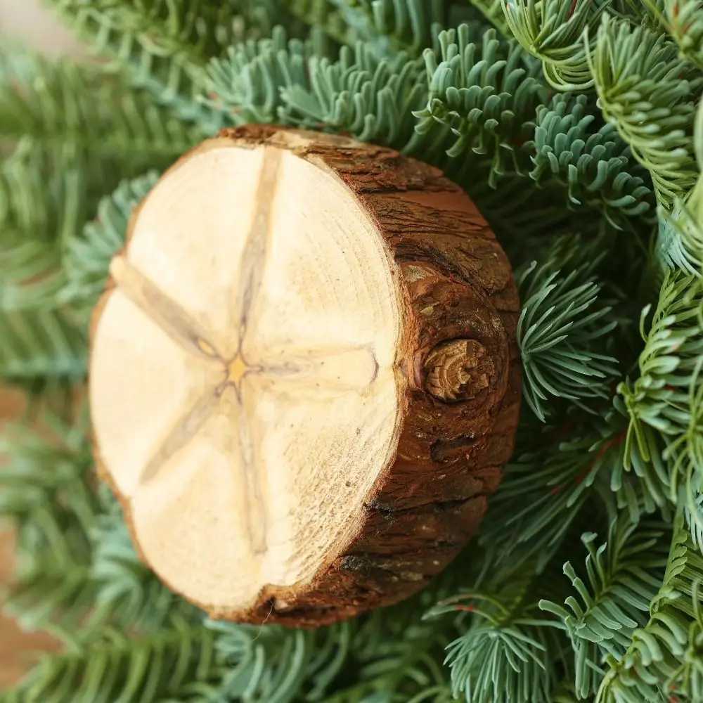 Elegant Mini Christmas Tree Handmade PE Faux Noble Fir for Tabletop Party Decor C251024