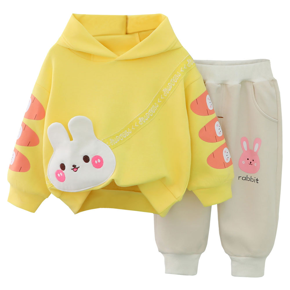 Free Shipping 2025 New Carrot Bunny Print Hooded Set, 2-Piece Fall Outfit for Girls Ages 1-5 | Cute Toddler Clothes with Hoodie