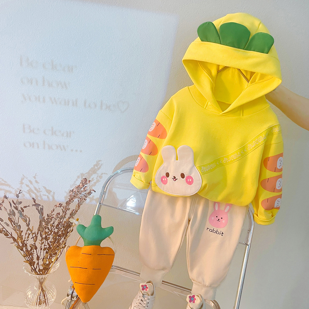 Free Shipping 2025 New Carrot Bunny Print Hooded Set, 2-Piece Fall Outfit for Girls Ages 1-5 | Cute Toddler Clothes with Hoodie