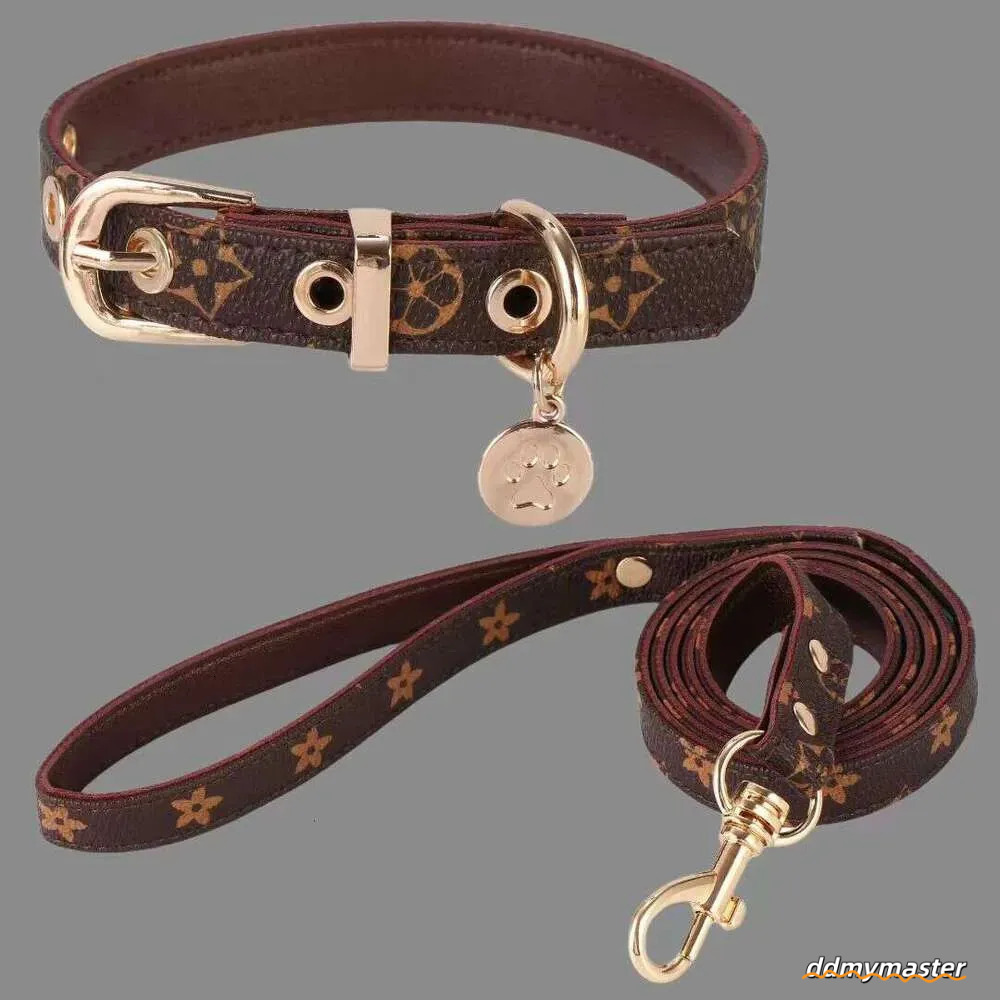 Durable Adjustable Walking Dog Neck Collar, Belt, Traction Rope, Pet Supplies Wholesale Designed For Dogs And Cats Ddmymaster