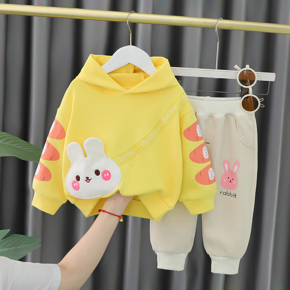 Free Shipping 2025 New Carrot Bunny Print Hooded Set, 2-Piece Fall Outfit for Girls Ages 1-5 | Cute Toddler Clothes with Hoodie