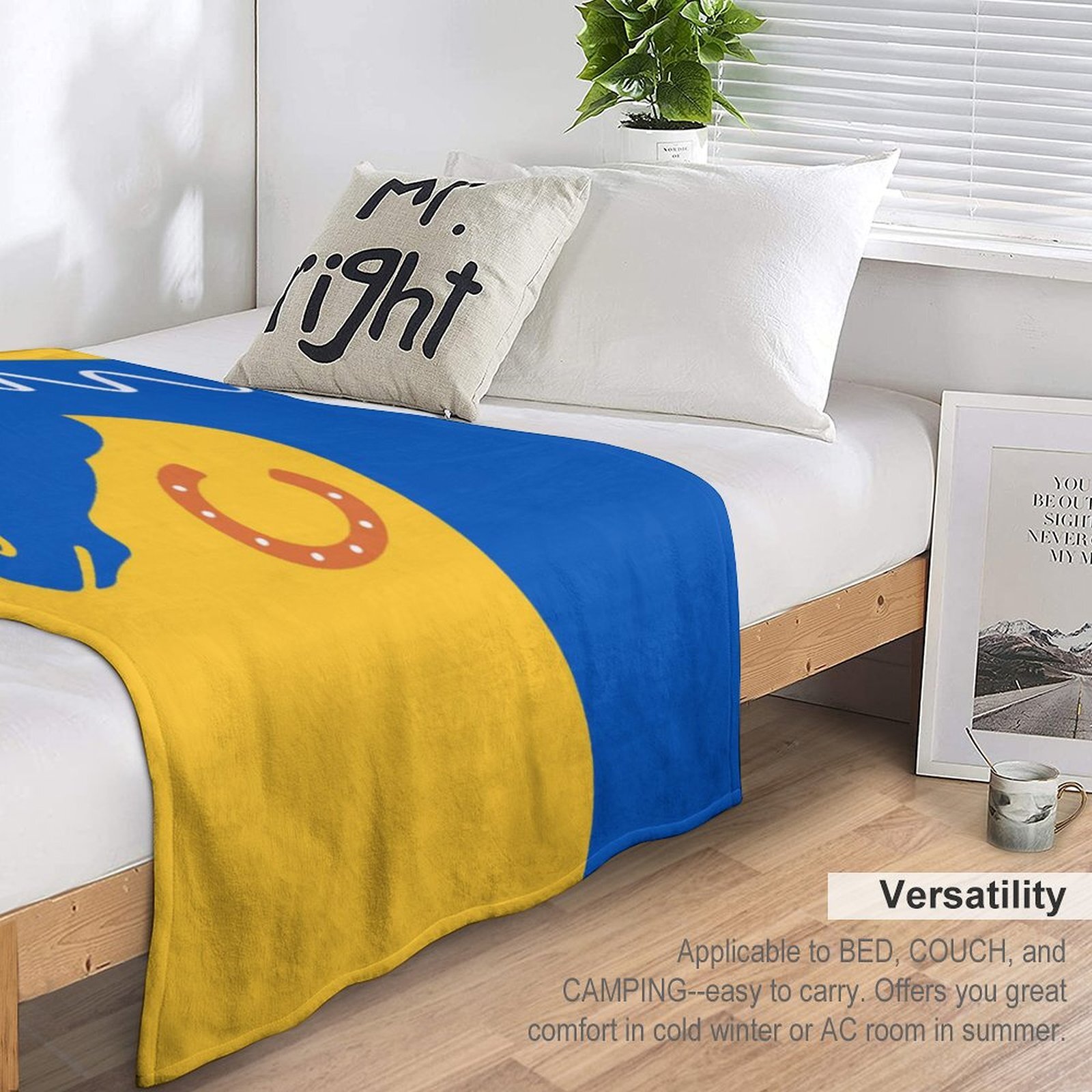 H Designer Horse blanket blanket throw cashmere vibration blanket copert Home Travel Throw Summer Air Conditioner Beach home bedding blankets throws