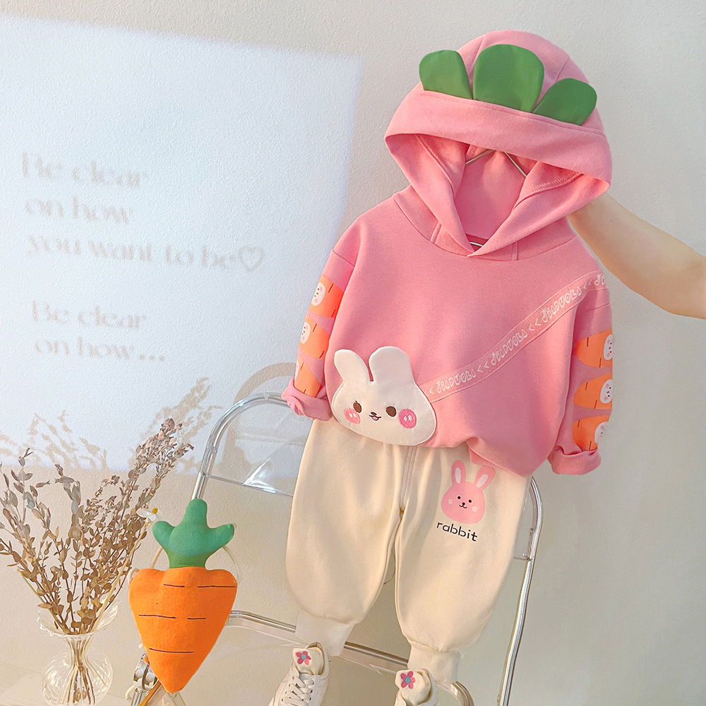 Free Shipping 2025 New Carrot Bunny Print Hooded Set, 2-Piece Fall Outfit for Girls Ages 1-5 | Cute Toddler Clothes with Hoodie