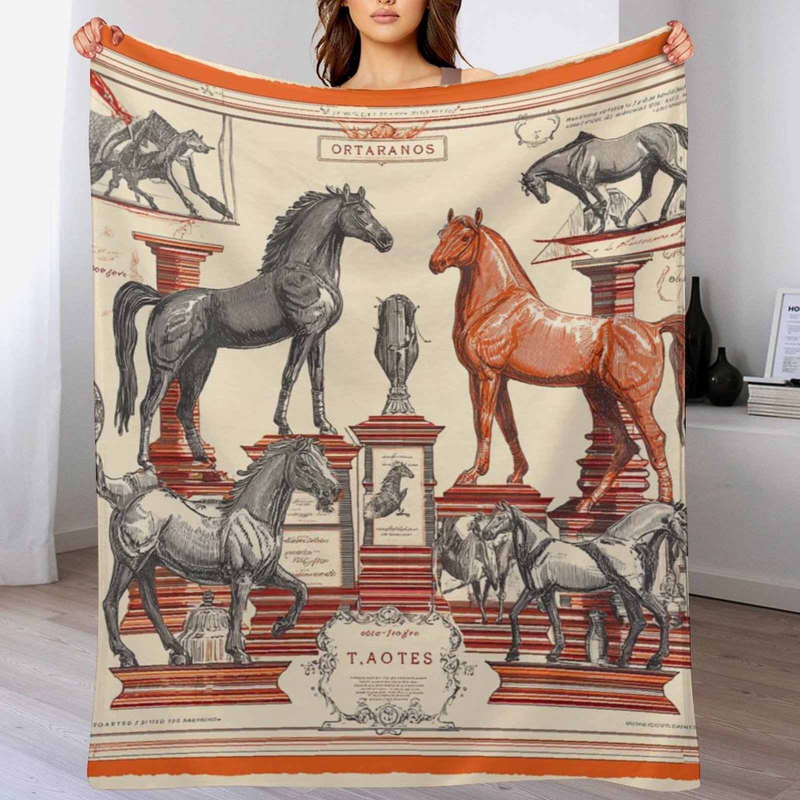 H Designer Horse blanket blanket throw cashmere vibration blanket copert Home Travel Throw Summer Air Conditioner Beach home bedding blankets throws H