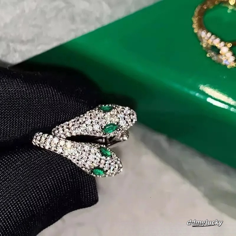 S Sterling Sier Serpentine Earrings For Women - Fashion Micro Zircon Inlaid Bright Hip Hop Style Ddmylucky