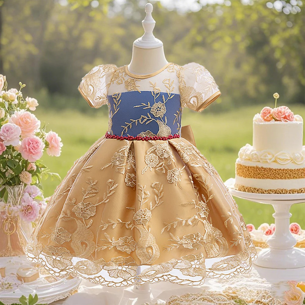 Young girl embroidery flower birthday party wedding princess dress suitable for wedding party performance 251023