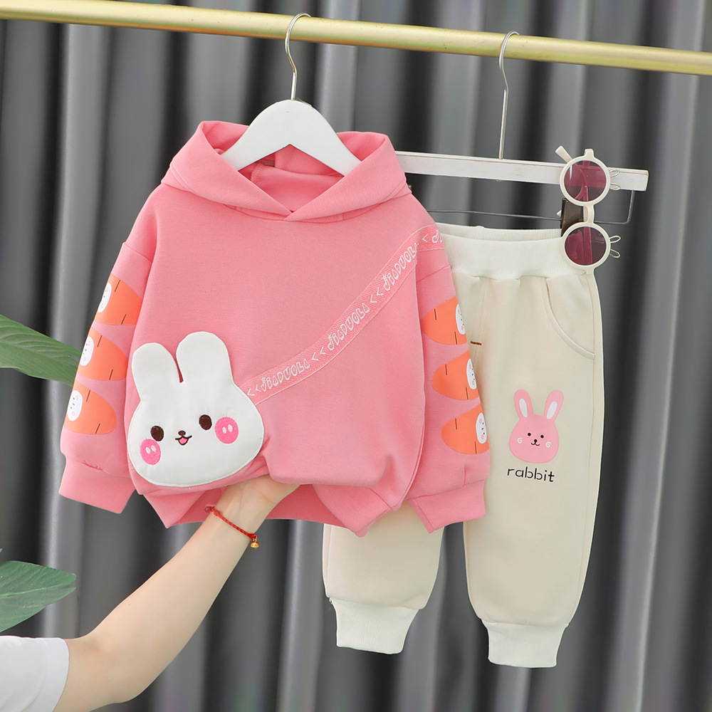 Free Shipping 2025 New Carrot Bunny Print Hooded Set, 2-Piece Fall Outfit for Girls Ages 1-5 | Cute Toddler Clothes with Hoodie