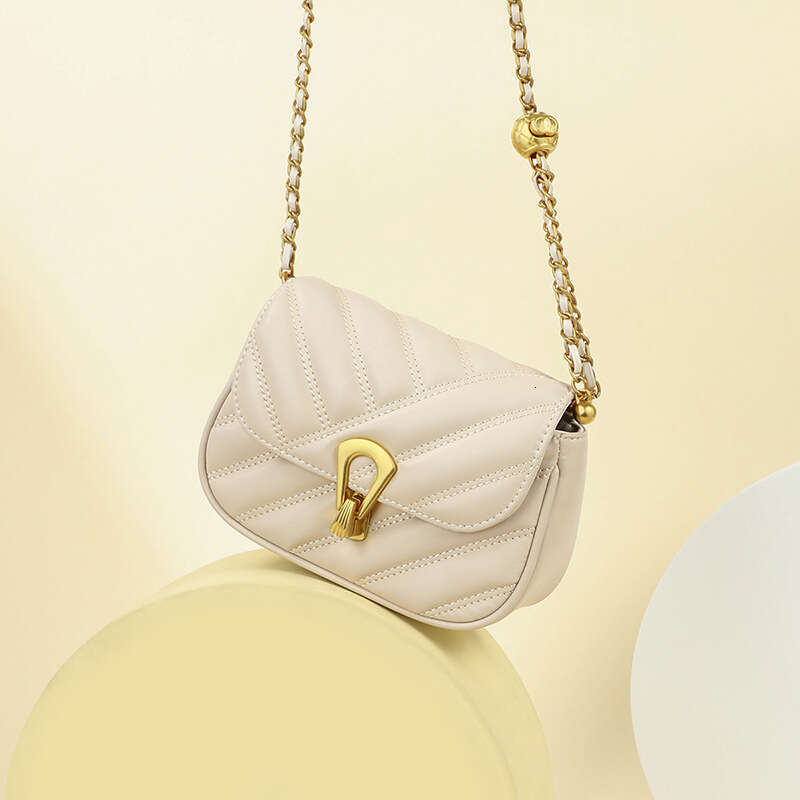 Luxury bag Autumn Winter Women Crossbody New Small Versatile Chain Light Genuine Leather Underarm Commuter Bag Handbag