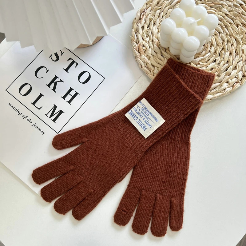Winter Women Knitted Gloves Autumn Hand Warmer Thicken Lining Full Fingered Mittens Skiing Solid Color Gloves For Women 251023
