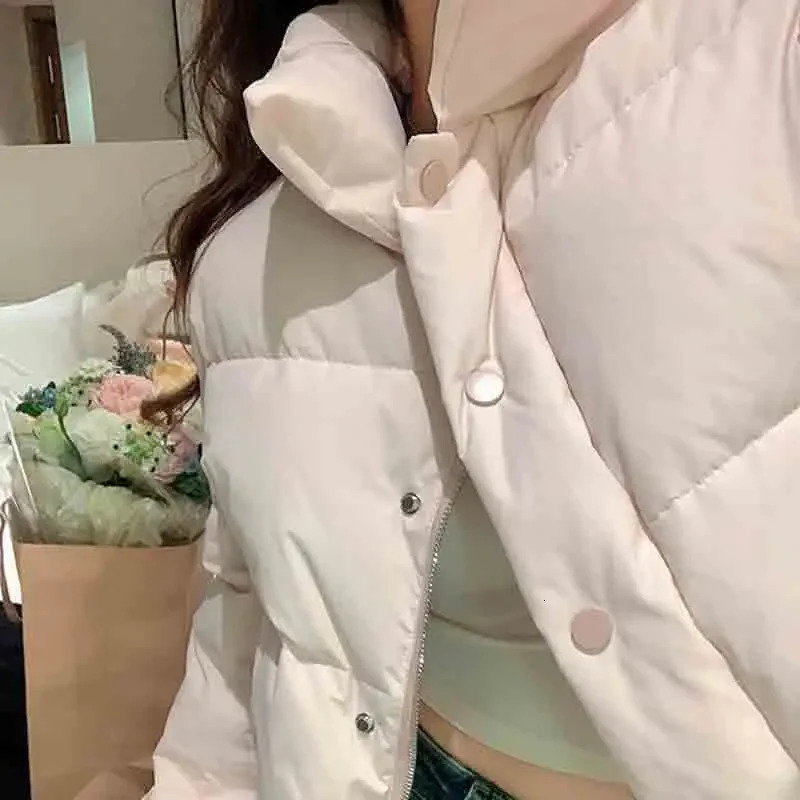 Korean Style Standup Collar Short Parka 2024 Winter Warm Cotton Padded Jacket Ladies Allmatch Bread 251017