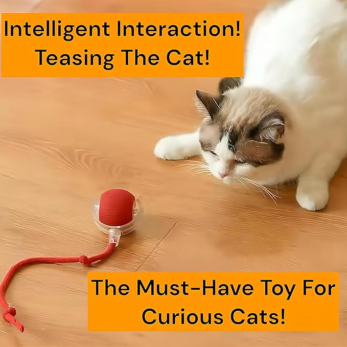 Cat smart teaser ball, interactive cat toy, intelligent automatic rolling dodge, upgraded pet toy